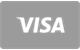 Visa Karte Zahlungsmethode bei Casina Casino